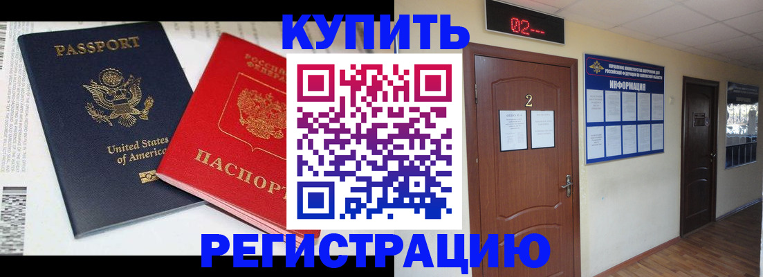 прописка 2025 в Сольцах